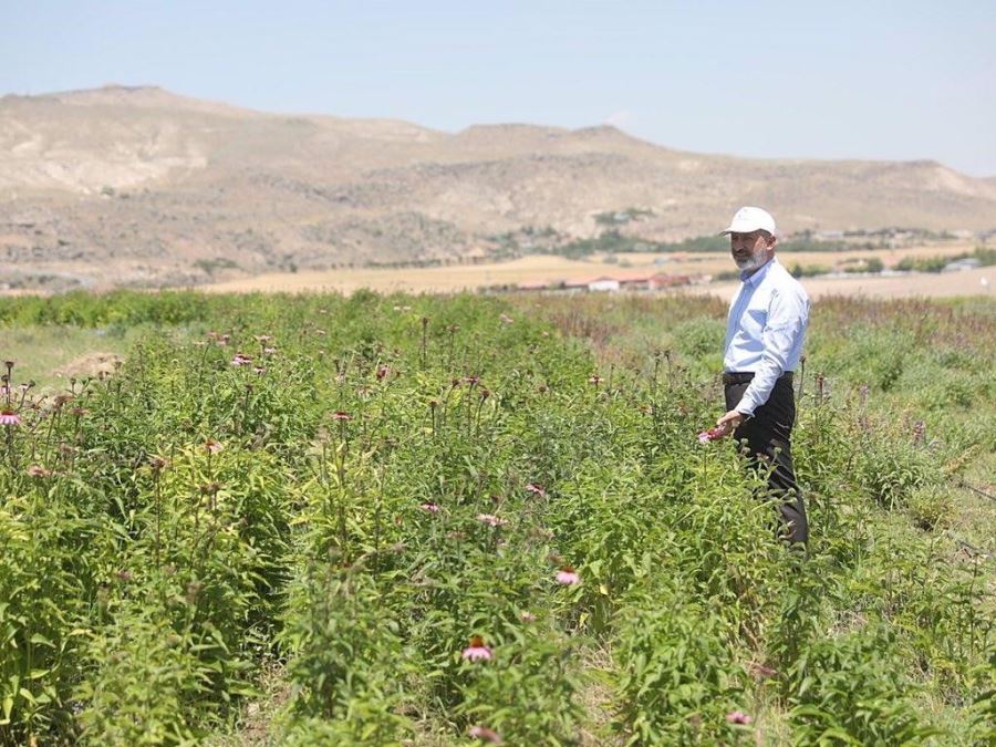 EN KAPSAMLI FİDANLI KOCASİNAN'DA