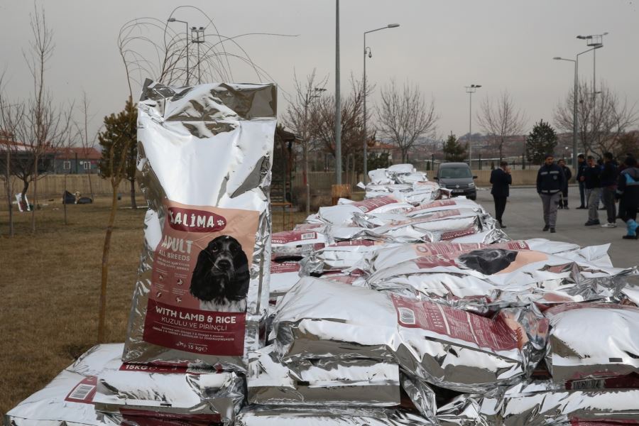 BÜYÜKŞEHİR, 1 YILDA 10 BİN SOKAK HAYVANINA SAHİP ÇIKTI