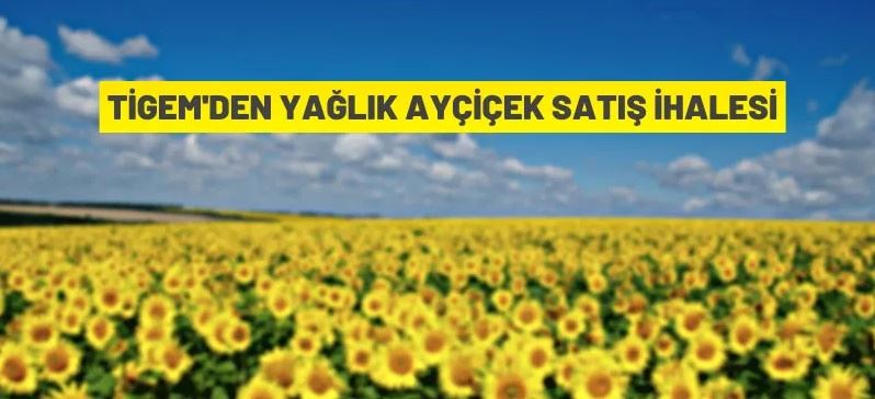 920.000 kilogram mahsul yağlık ayçiçeği ihaleyle satılacak