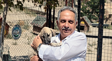 TALAS PATİ EVİ TAKDİR TOPLUYOR