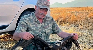 YARALI DOĞANI VATANDAŞ KURTARDI