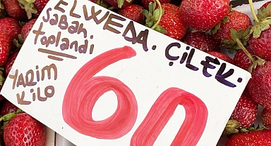 ELVEDA ÇİLEK!