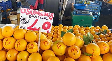 ''BU PORTAKAL HENÜZ ÜŞÜMEMİŞ''