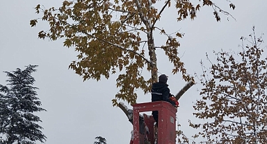 BÜYÜKŞEHİR'DEN YOĞUN MESAİ
