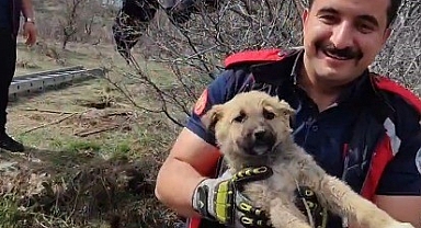 KUYUYA DÜŞEN YAVRU KÖPEK KURTARILDI