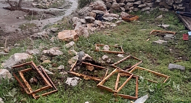 AYILAR, ARI KOVANLARINA SALDIRDI!