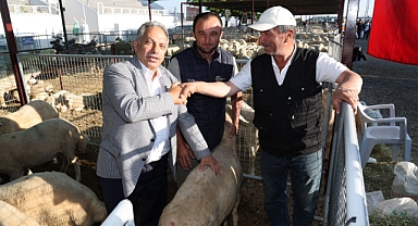 TALAS’TA KURBAN PAZARINA BAŞVURULAR BAŞLADI